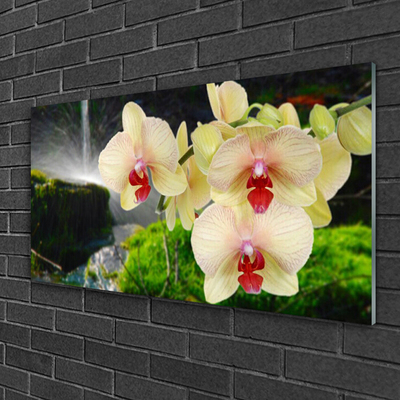 Quadro acrílico Árvores Natureza Planta