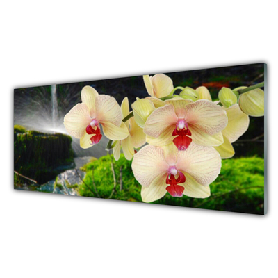 Quadro acrílico Árvores Natureza Planta