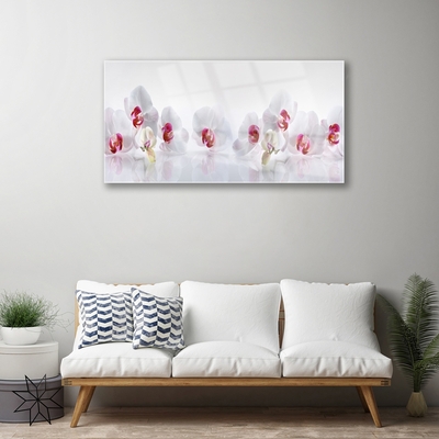 Quadro acrílico Flores Planta Natureza