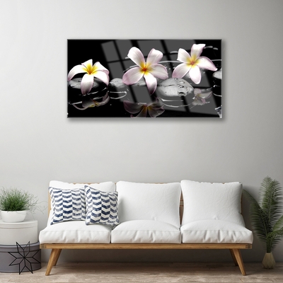 Quadro acrílico Planta de pedras de flores
