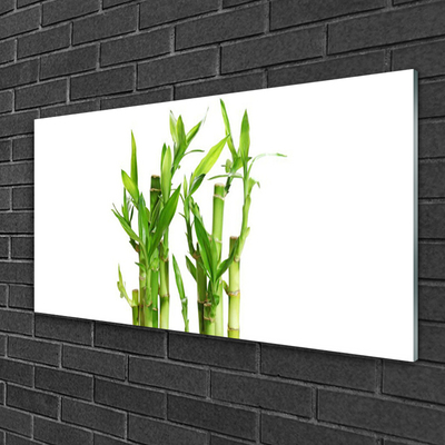 Quadro acrílico Planta de flor de caule de bambu