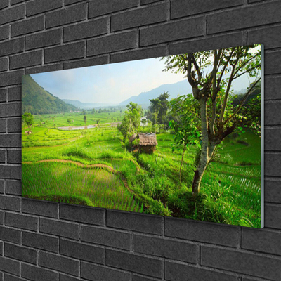 Quadro acrílico Prado da Natureza