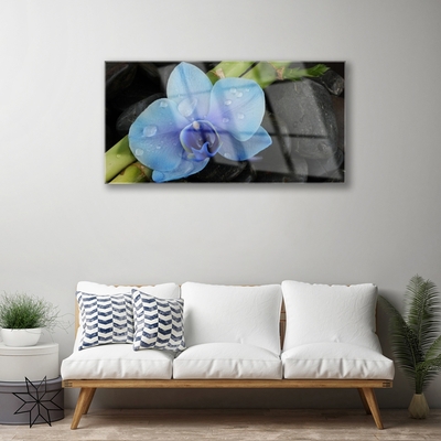 Pintura acrílica Planta de pedras de flores