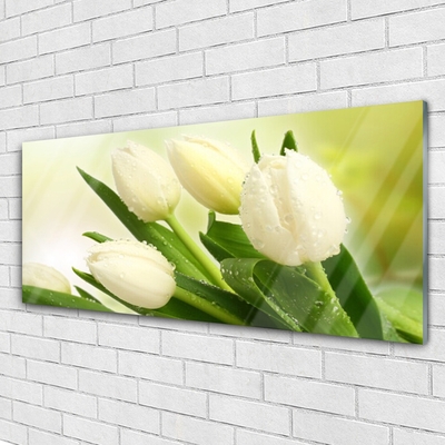 Pintura acrílica Tulipas Flores Planta