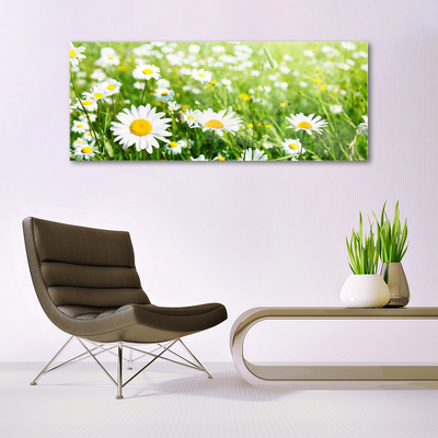 Quadro acrílico Planta de flor margarida