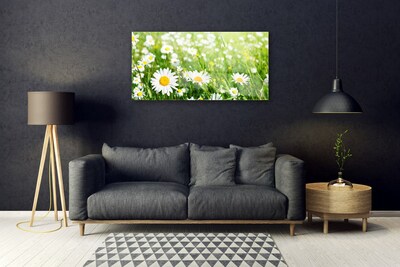 Quadro acrílico Planta de flor margarida