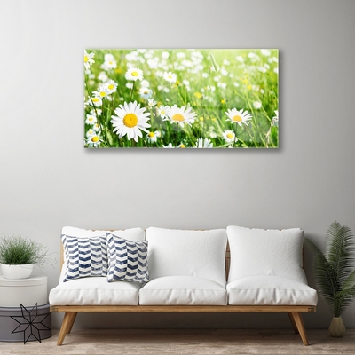 Quadro acrílico Planta de flor margarida