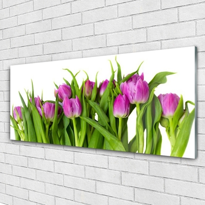 Quadro acrílico Tulipas Flores Planta