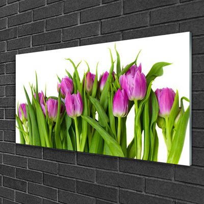 Quadro acrílico Tulipas Flores Planta