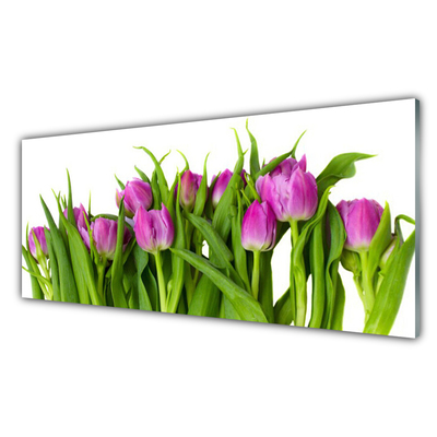 Quadro acrílico Tulipas Flores Planta