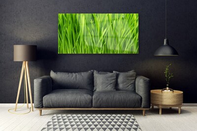 Quadro acrílico Natureza da planta grama