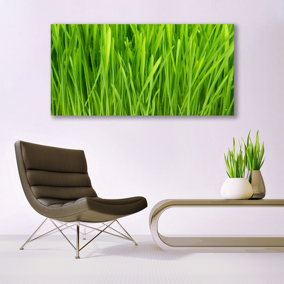 Quadro acrílico Natureza da planta grama
