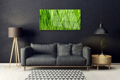 Quadro acrílico Natureza da planta grama