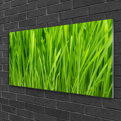 Quadro acrílico Natureza da planta grama