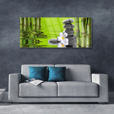 Quadro acrílico Planta de Pedras de Bambu