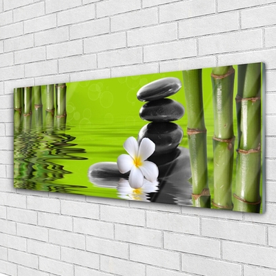 Quadro acrílico Planta de Pedras de Bambu
