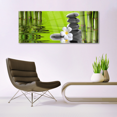 Quadro acrílico Planta de Pedras de Bambu