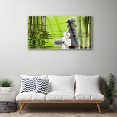Quadro acrílico Planta de Pedras de Bambu