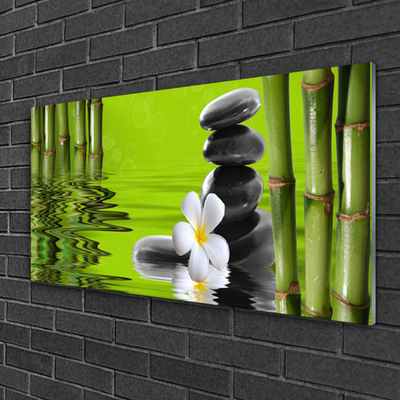 Quadro acrílico Planta de Pedras de Bambu
