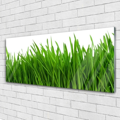 Quadro acrílico Natureza da planta grama