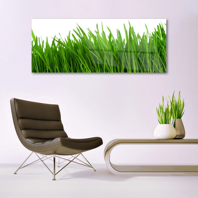 Quadro acrílico Natureza da planta grama