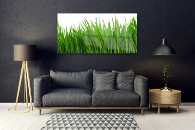 Quadro acrílico Natureza da planta grama