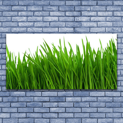 Quadro acrílico Natureza da planta grama