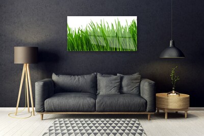 Quadro acrílico Natureza da planta grama