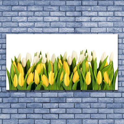 Quadro acrílico Tulipas Flores Planta