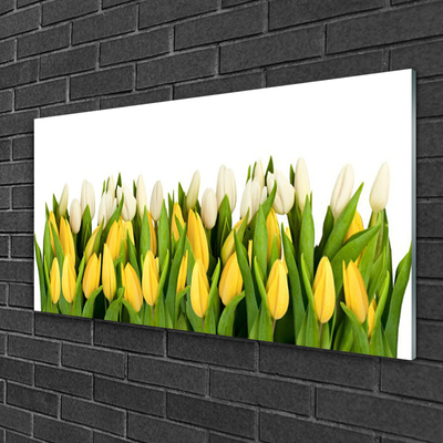 Quadro acrílico Tulipas Flores Planta