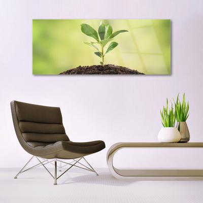 Pintura acrílica Crescimento de plantas terrestres