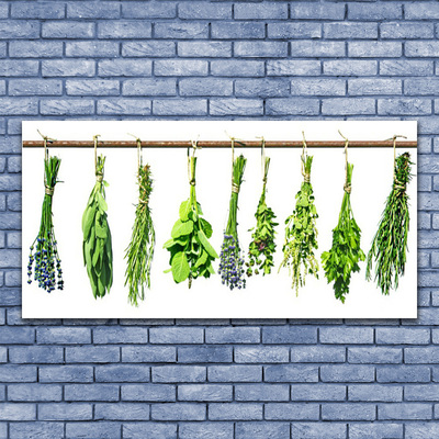 Quadro acrílico Flores Planta Natureza