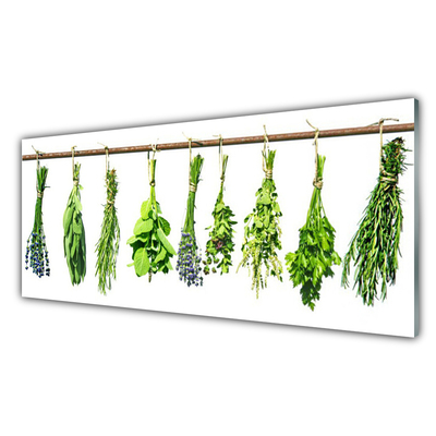 Quadro acrílico Flores Planta Natureza