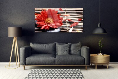 Quadro acrílico Flor Planta Natureza