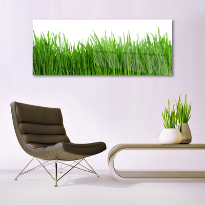 Quadro acrílico Natureza da planta grama