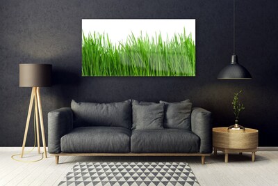 Quadro acrílico Natureza da planta grama