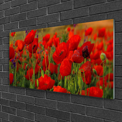 Pintura acrílica Papoulas Plantam Natureza