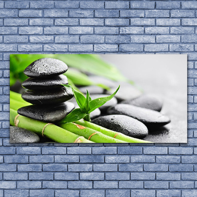 Pintura acrílica Planta de Pedras de Bambu