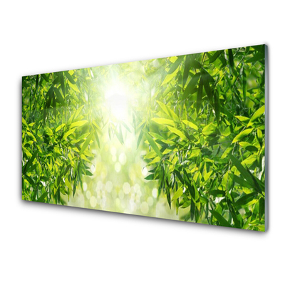 Quadro acrílico Folhas Natureza Planta