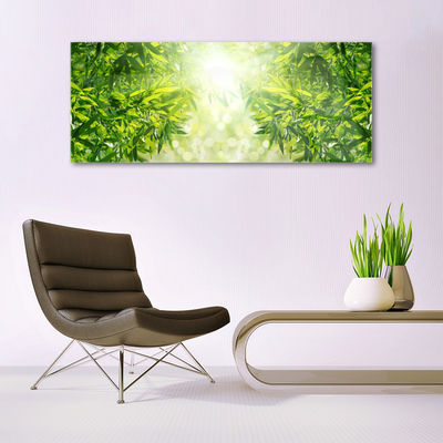 Quadro acrílico Folhas Natureza Planta