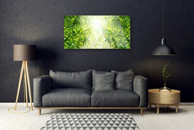 Quadro acrílico Folhas Natureza Planta