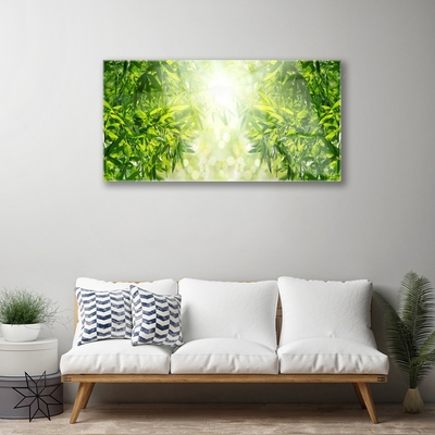 Quadro acrílico Folhas Natureza Planta