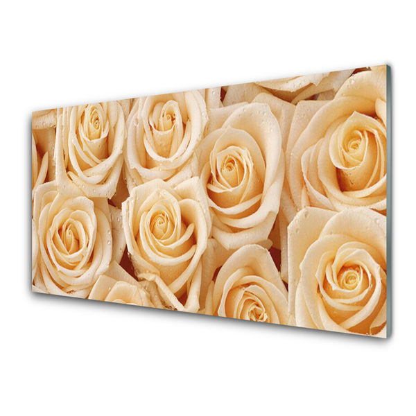 Quadro acrílico Planta de flores rosas