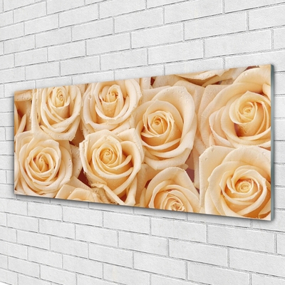 Quadro acrílico Planta de flores rosas