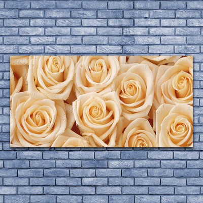 Quadro acrílico Planta de flores rosas