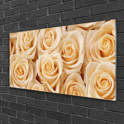 Quadro acrílico Planta de flores rosas