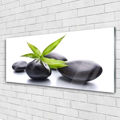 Quadro acrílico Arte com Folhas e Pedras