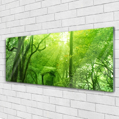 Quadro acrílico Árvores Natureza