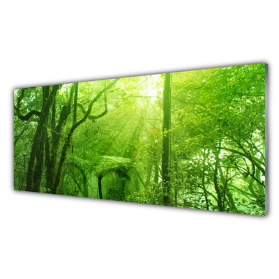 Quadro acrílico Árvores Natureza