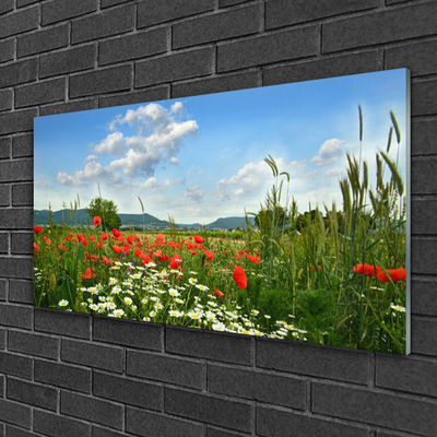 Quadro acrílico Flores do Prado Natureza Planta